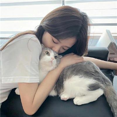 猪猪侠·不可思议的世界